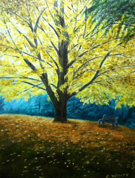 Autumn In St Marys