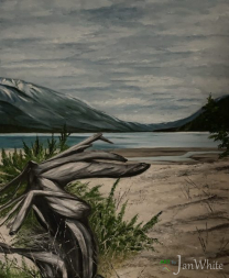 driftwood-e1782866417138