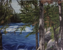 forest_rapids-scaled-e1782788068180