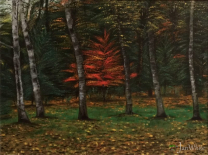 forests_flair-e1780617507352