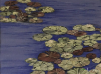 lily_pads-e1780624797745