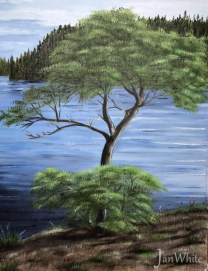 lonesome_pine