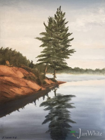morning_solitude-scaled