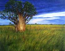 Savanna Lone Baobab Tree