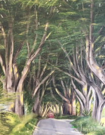 the_dark_hedges-scaled-e1782695652995