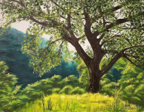 the_friendship_tree-e1783046099776