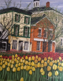 tulip_time-e1782787817418