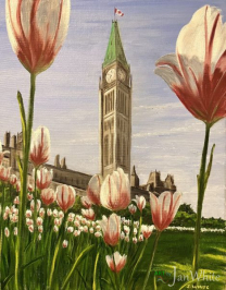 Tulips on the Hill