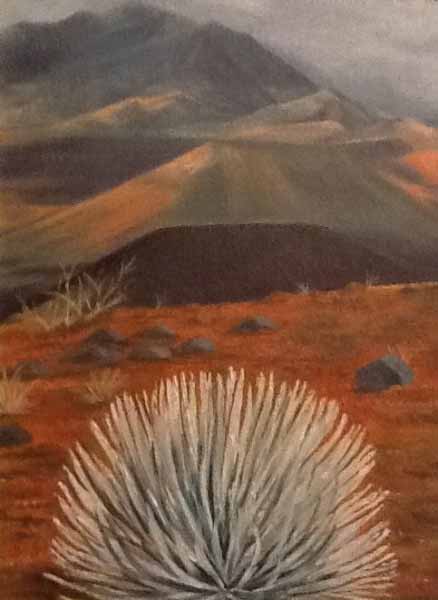 Haleakala Crater