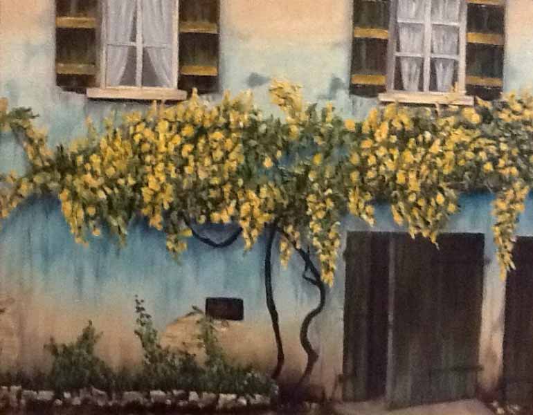 Ivy In Province