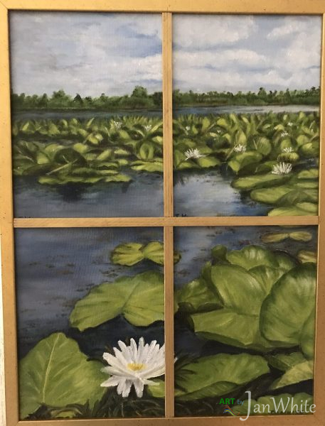 lilly_pads-e1780538639946