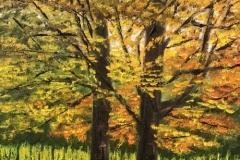 Fall Fire