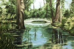 Quiet Reflections