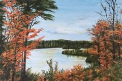 algonquin_autumn-e1780624354820