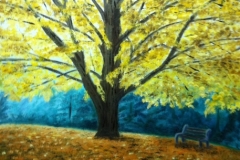 Autumn In St Marys