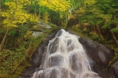 Autumn Waterfall