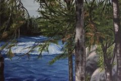 forest_rapids-scaled-e1782788068180