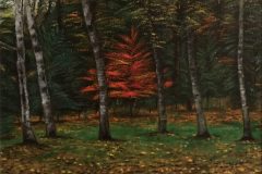 forests_flair-e1780617507352