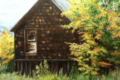 forgotten_home