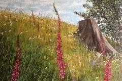 Foxgloves