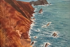 Irish Coast