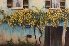 Ivy In Province