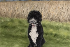 macey_among_the_maze-e1780617669393