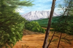 Mont ST Victoire