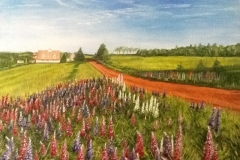 P.E.I. Lupins