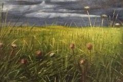 Prairie Storm
