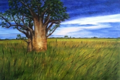 Savanna Lone Baobab Tree