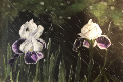 spring_iris