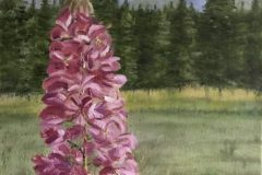 spring_sentinel-e1780617613198