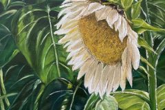 sunflower-e1783047018319