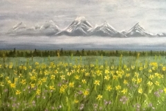 Teton Landscape