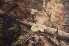 Trillium