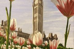 Tulips on the Hill