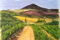 Wine Country