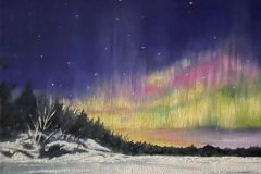 winter_display-e1783046793683