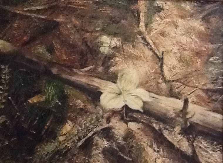 Trillium