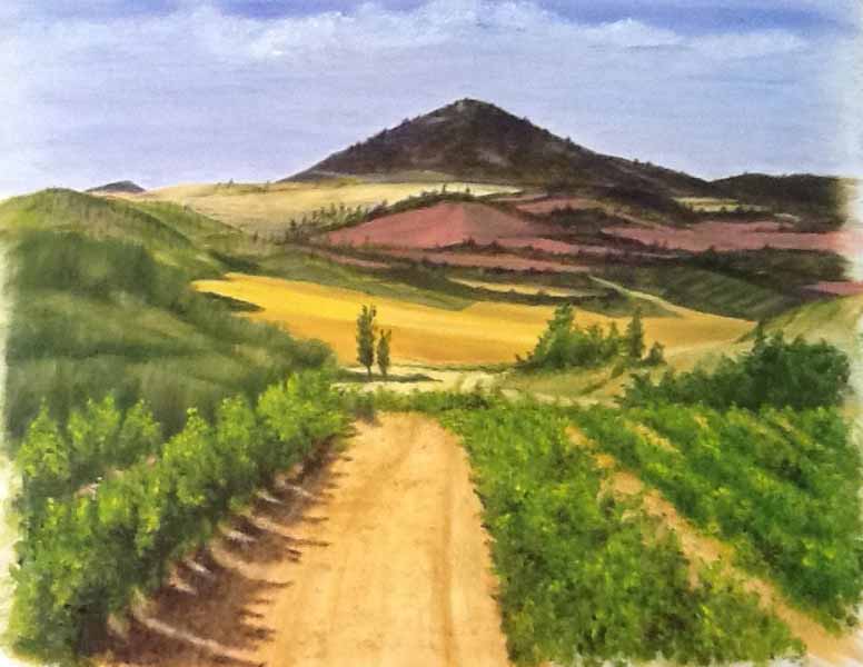Wine Country