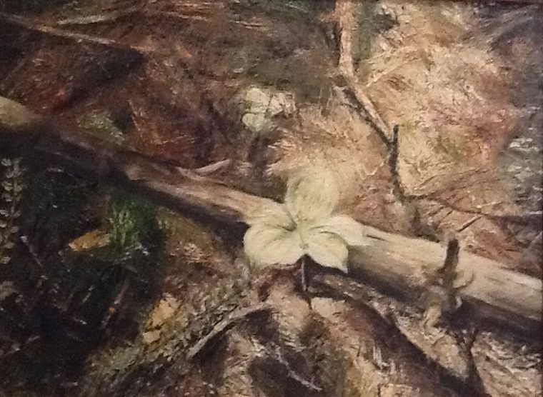 Trillium